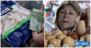 Buena noticia para el mercado: Chile se autodeclara "País Libre de Influenza Aviar" en aves de corral