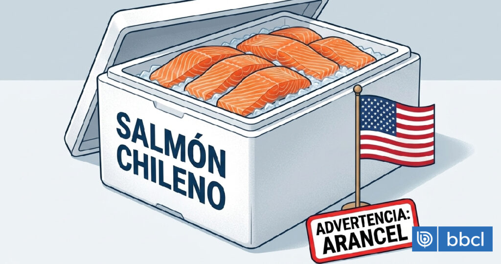 El salmón chileno bajo presión ante posible "castigo" arancelario de EEUU a Chile por trabajo forzoso