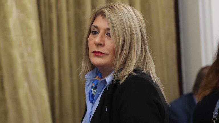 Diputada Parisi (PDG) tras salida de subsecretarios de Seguridad: No sabemos mucho cuál fue su papel