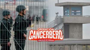 Cadem reporta que un 51% cree que es un “espectáculo comunicacional” que no tendrá efectos