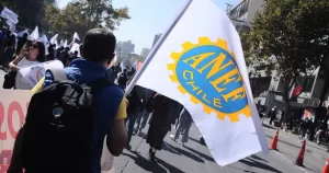"No conocen el funcionamiento del Estado": ANEF cuestiona comisión revisora de estatuto administrativo